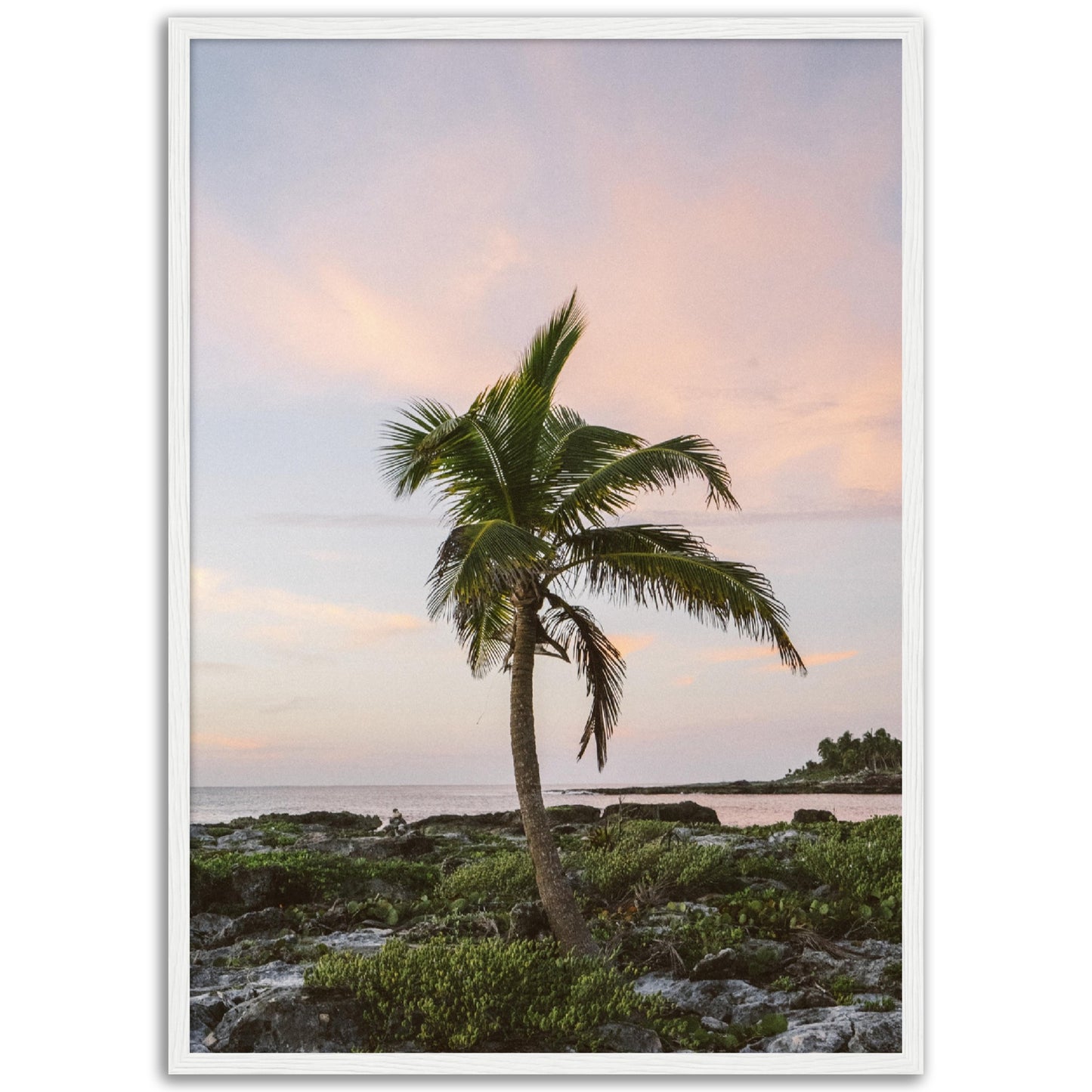 Sunset Palm Tree Print