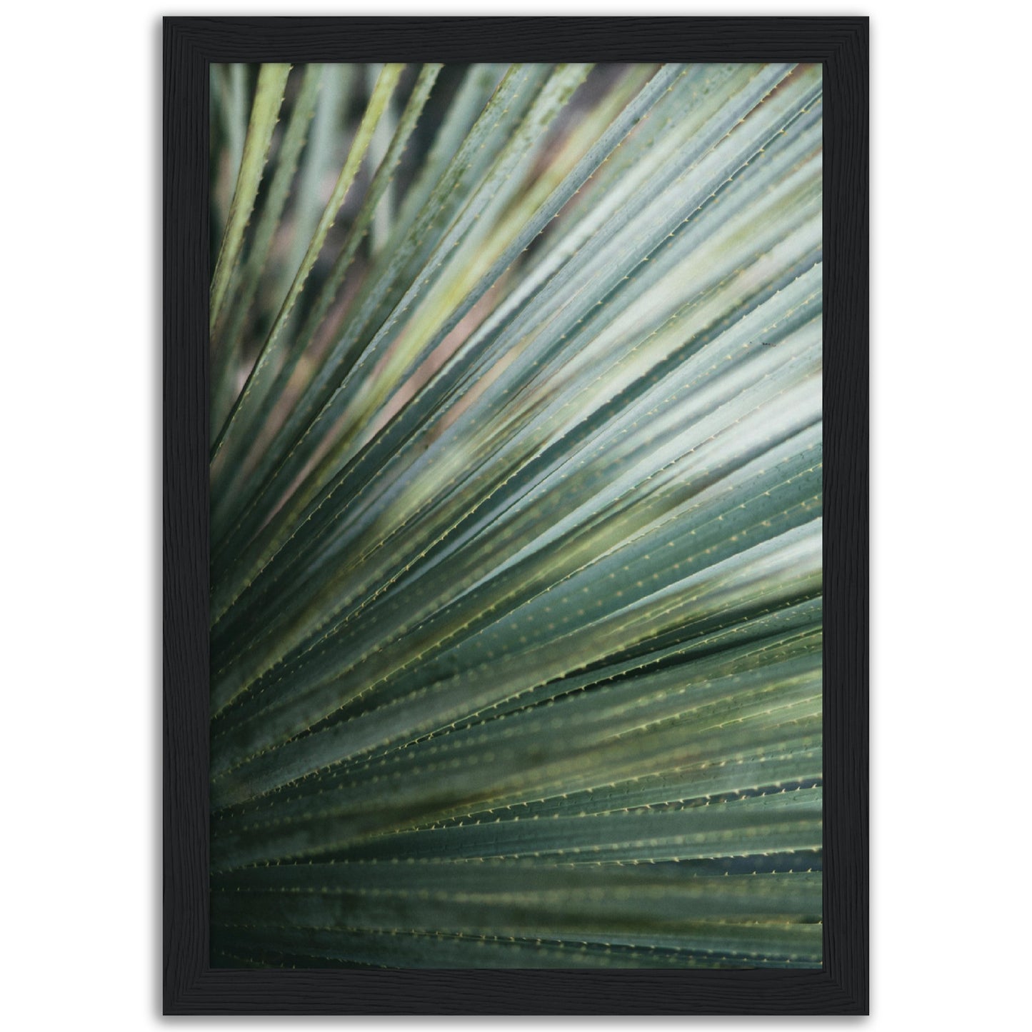 Palm Leaf Print