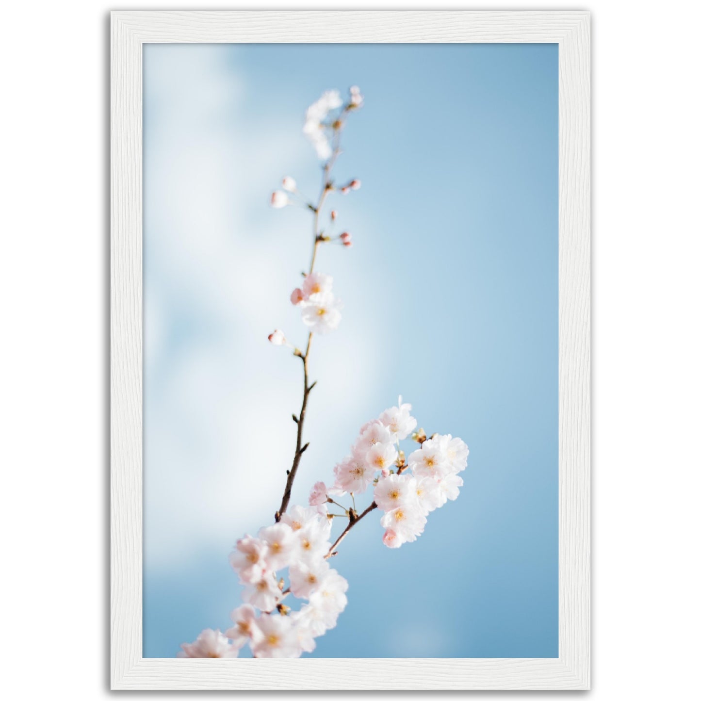 Spring Blossom Print
