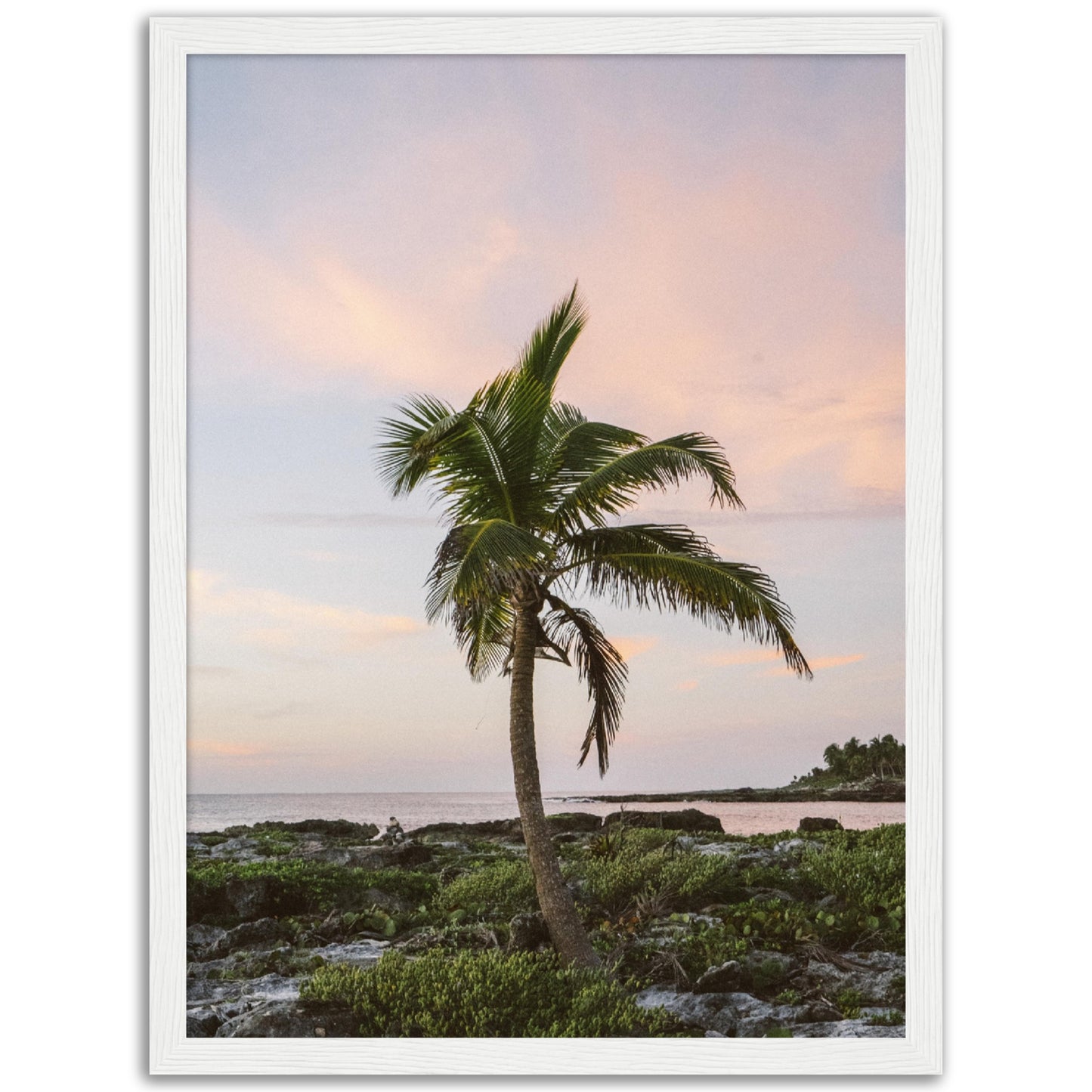 Sunset Palm Tree Print