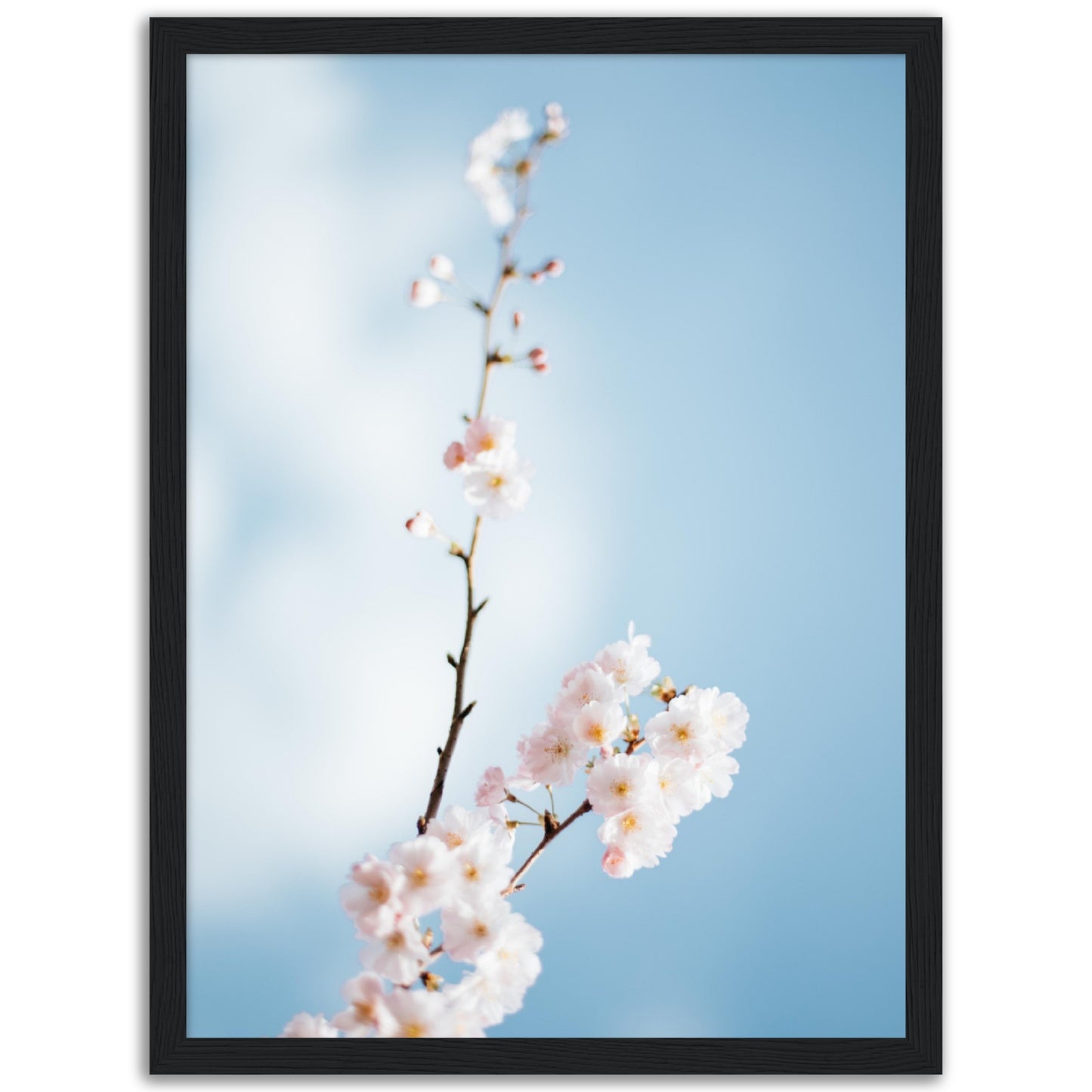 Spring Blossom Print