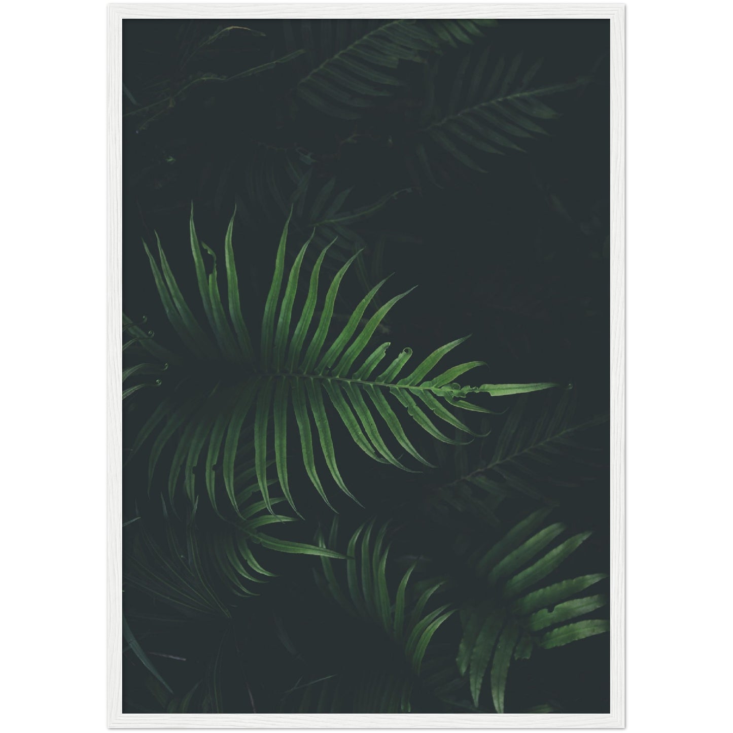 Fern Leaf Print