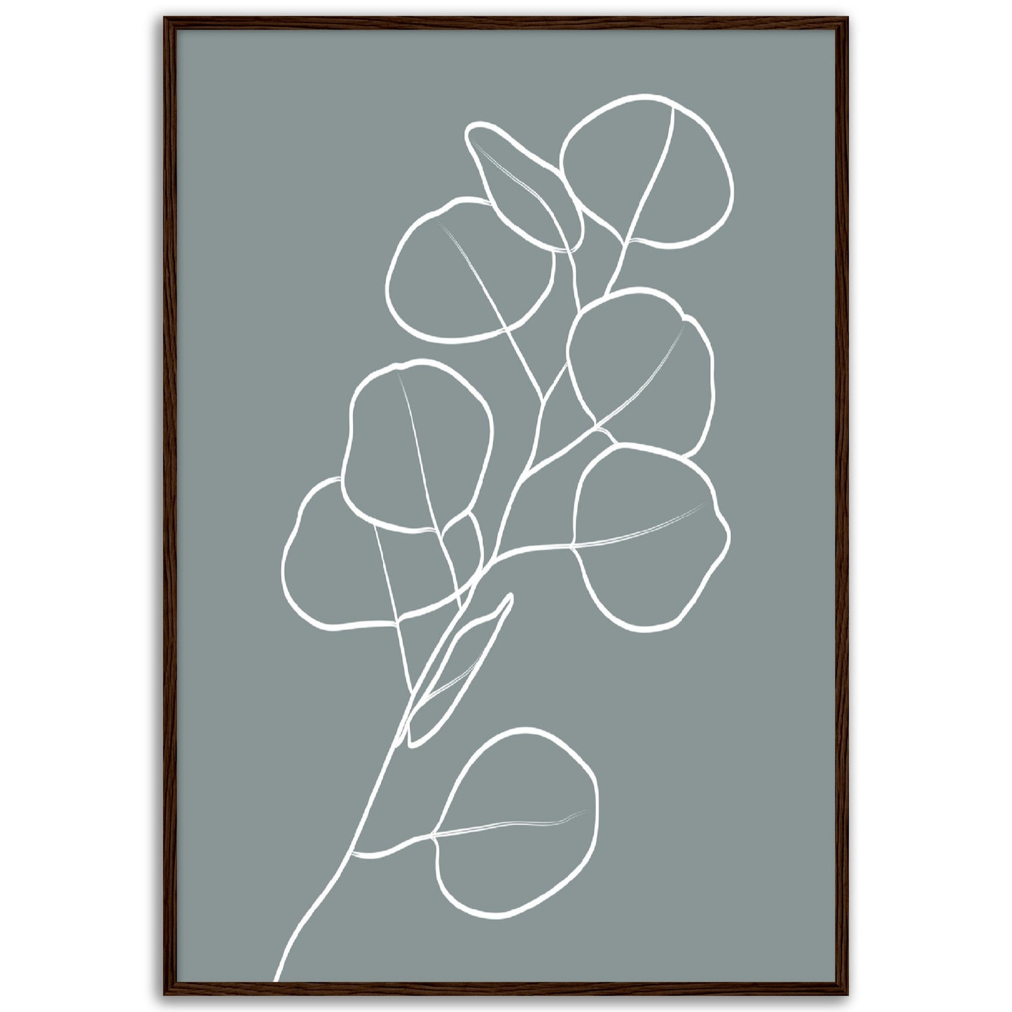 Eucalyptus Leaves Line Art Print