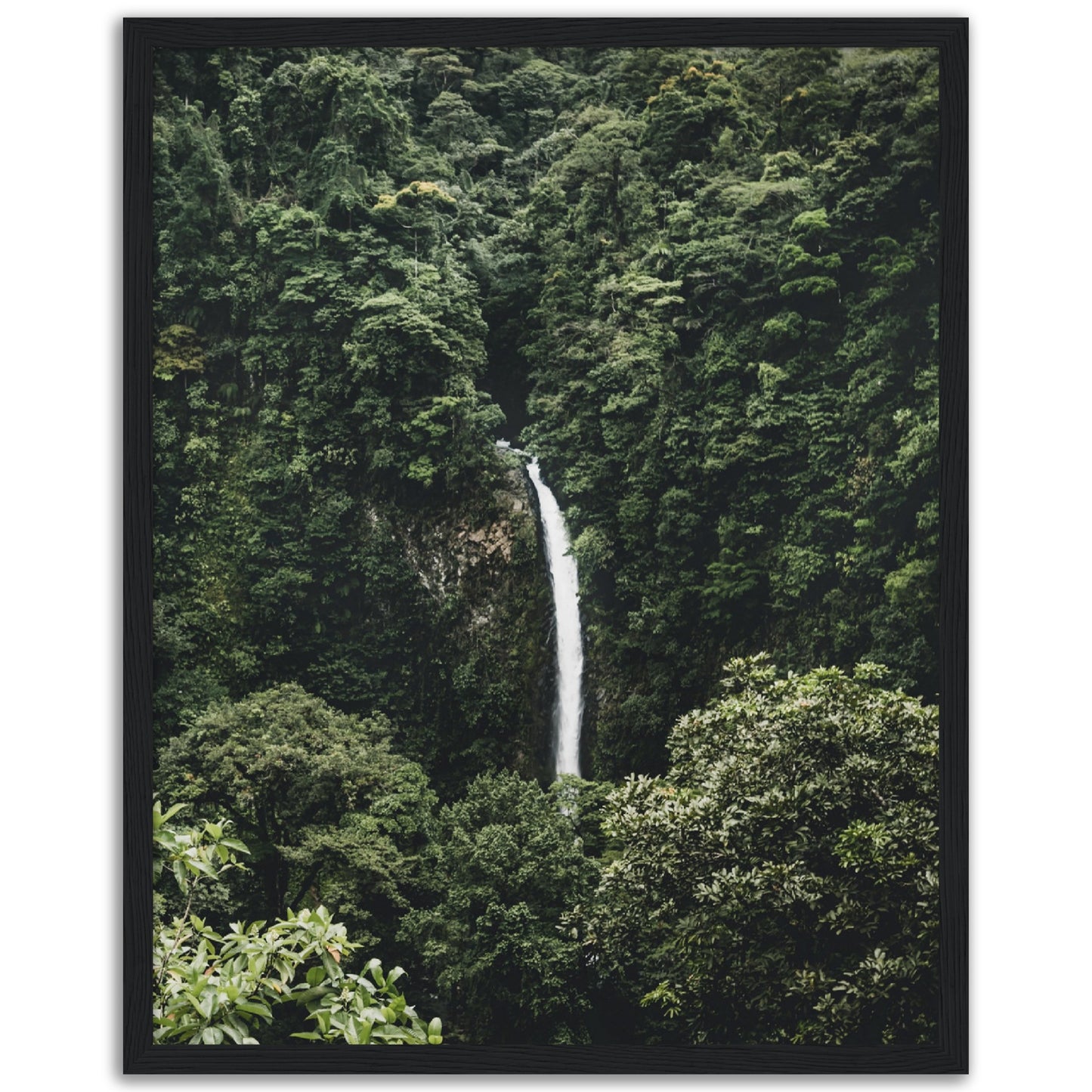 Jungle Waterfall Print