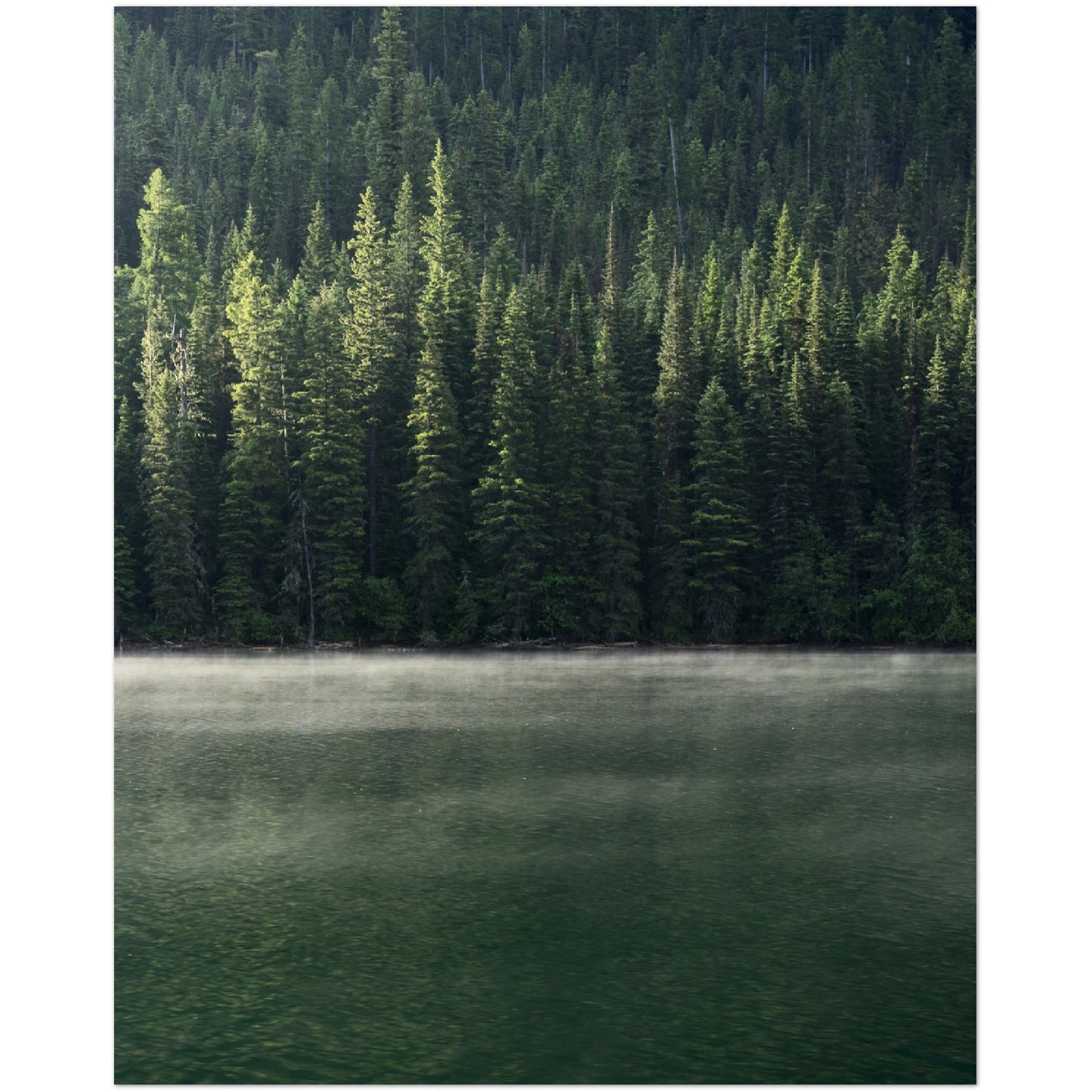 Forest & Lake Print