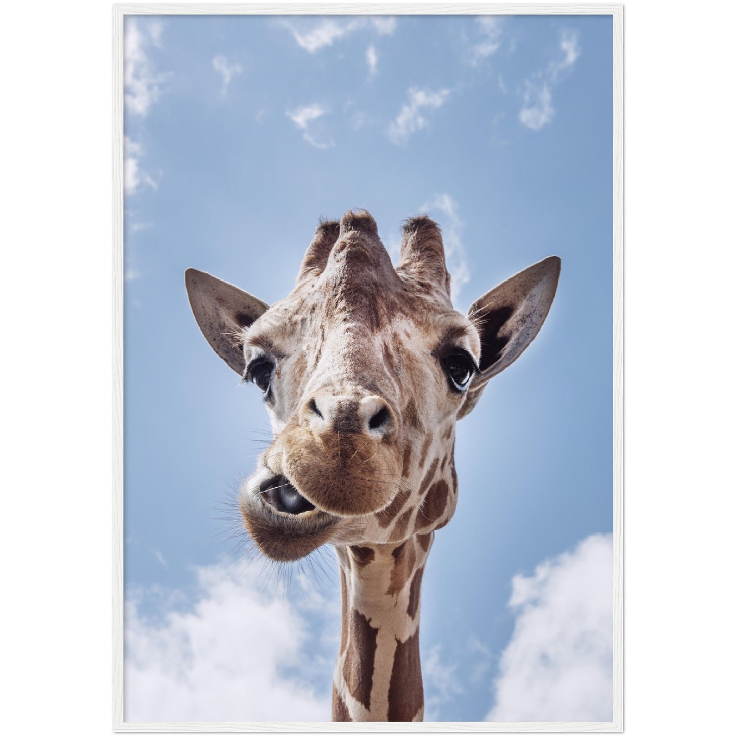 Giraffe Face Print