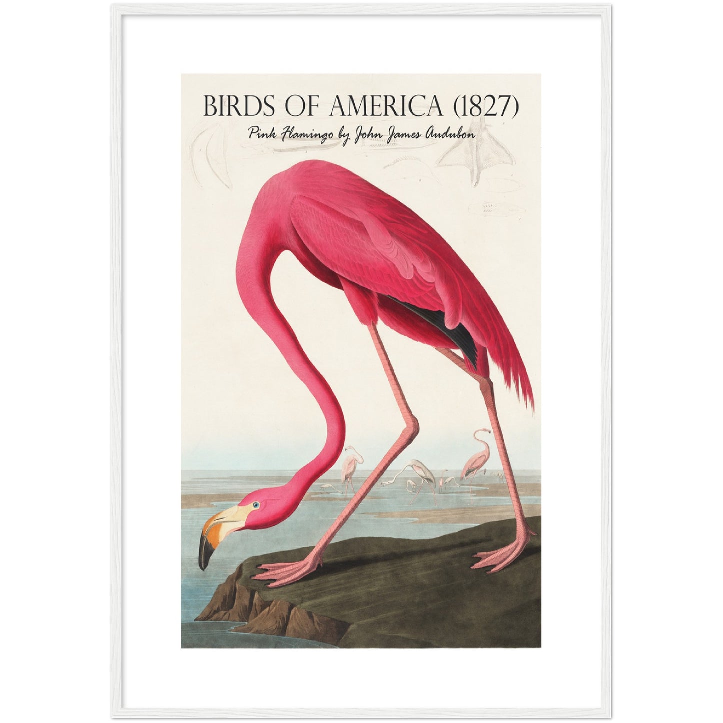 Pink Flamingo Print