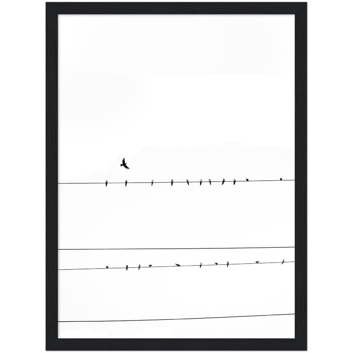 Cable Wire Birds Print