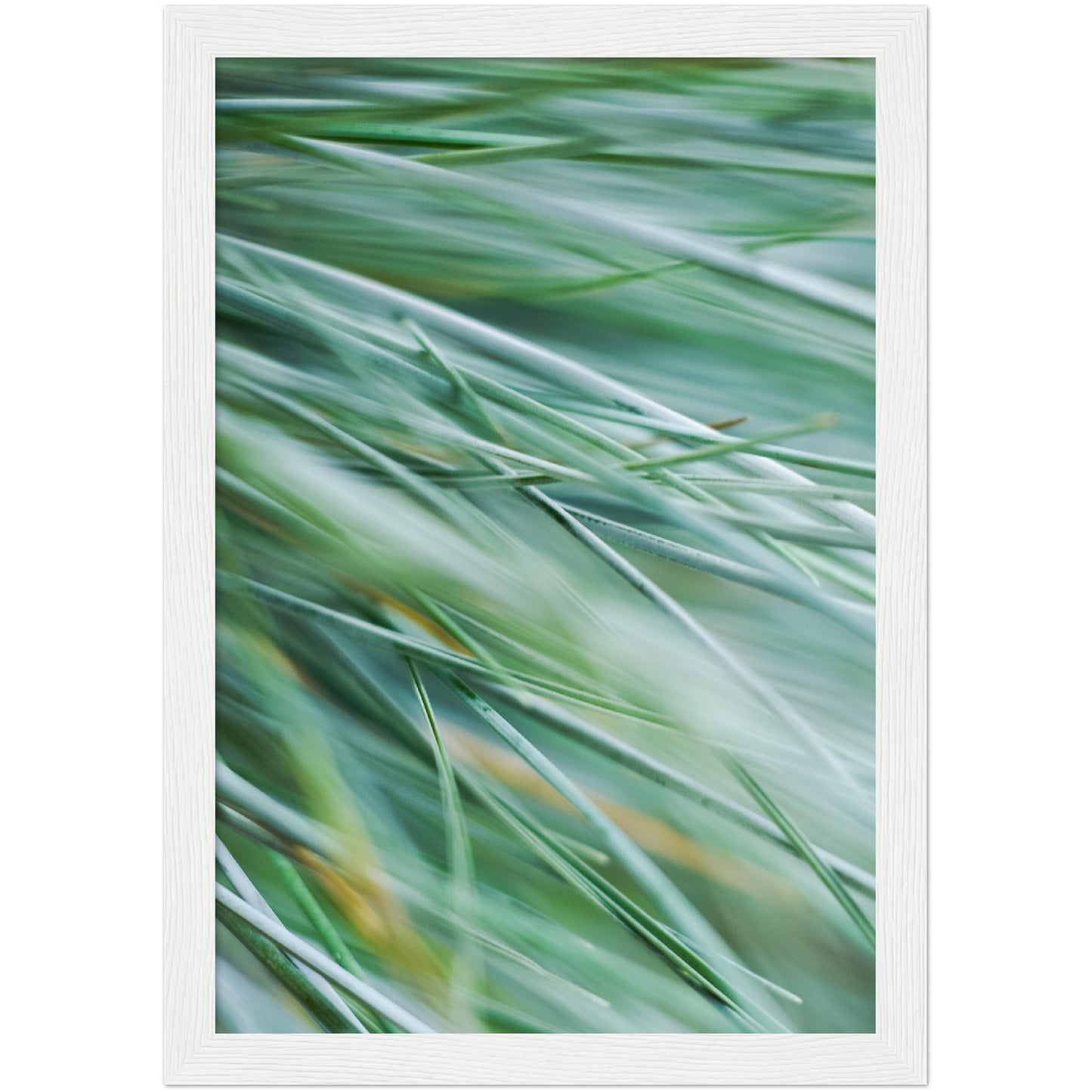 Green Grass Print