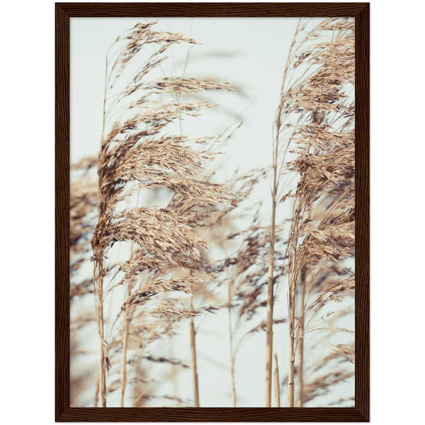 Wheat Print