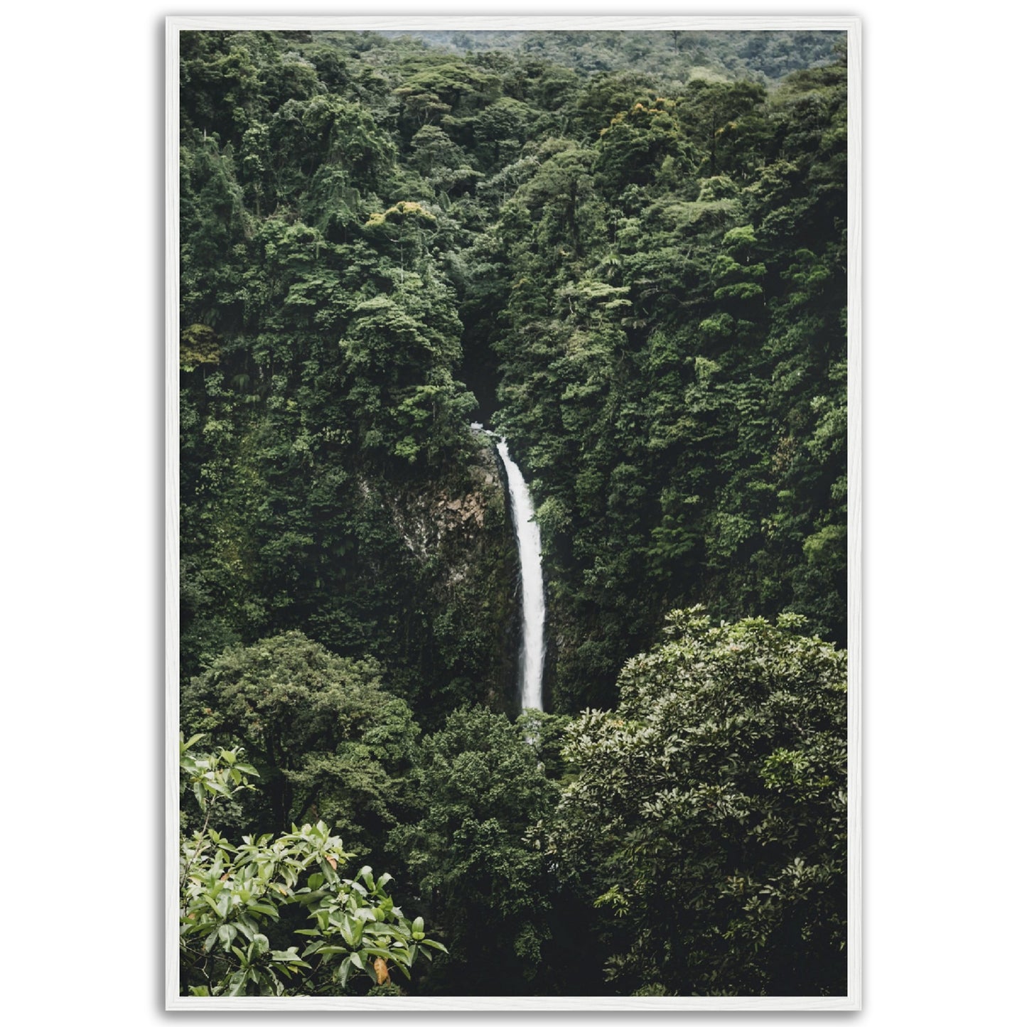 Jungle Waterfall Print