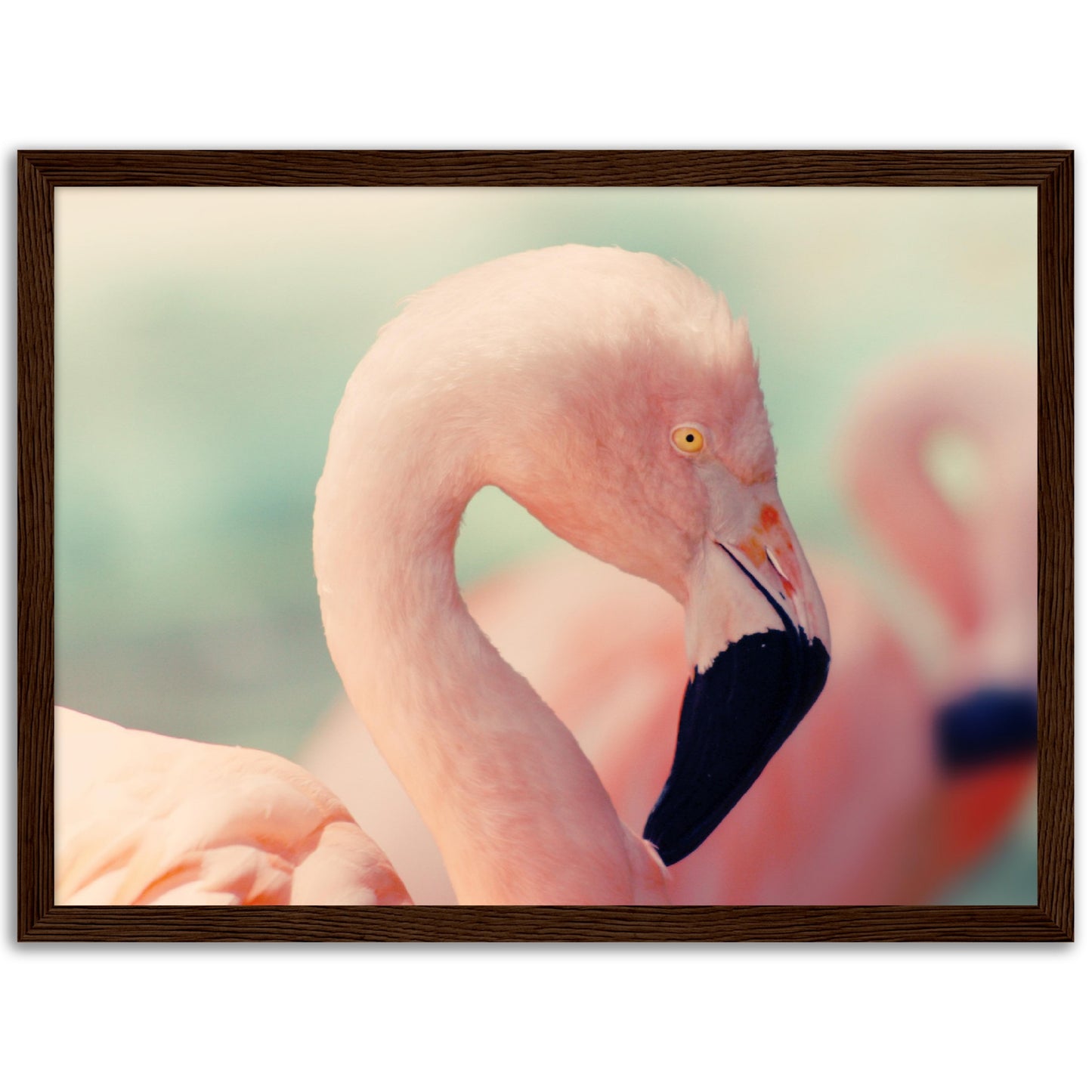 Pastel Flamingo Print