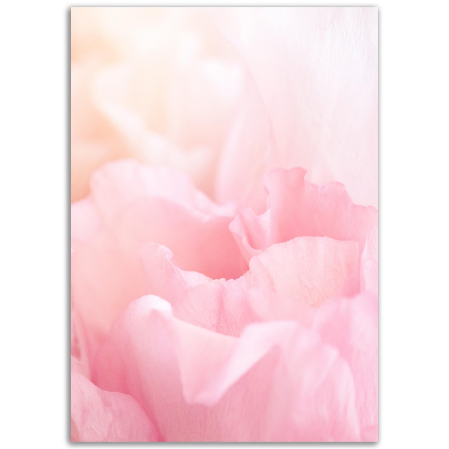Pastel Pink Flower Print