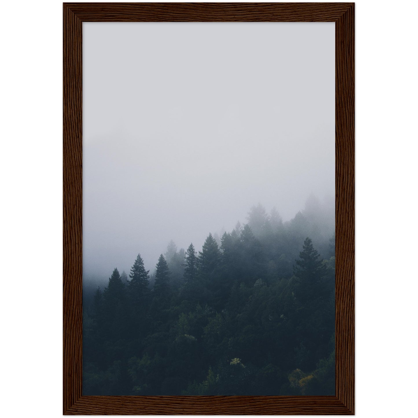 Forest Clouds Print