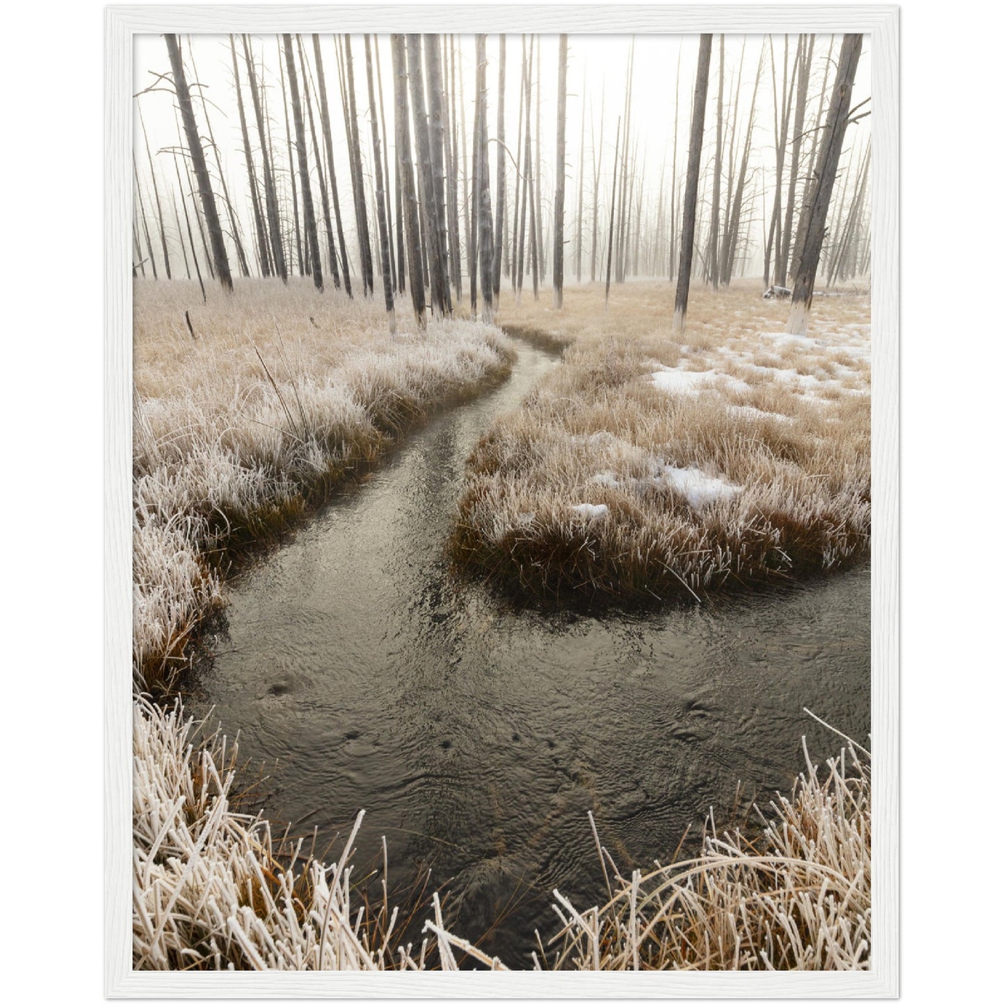 Winter Stream Print