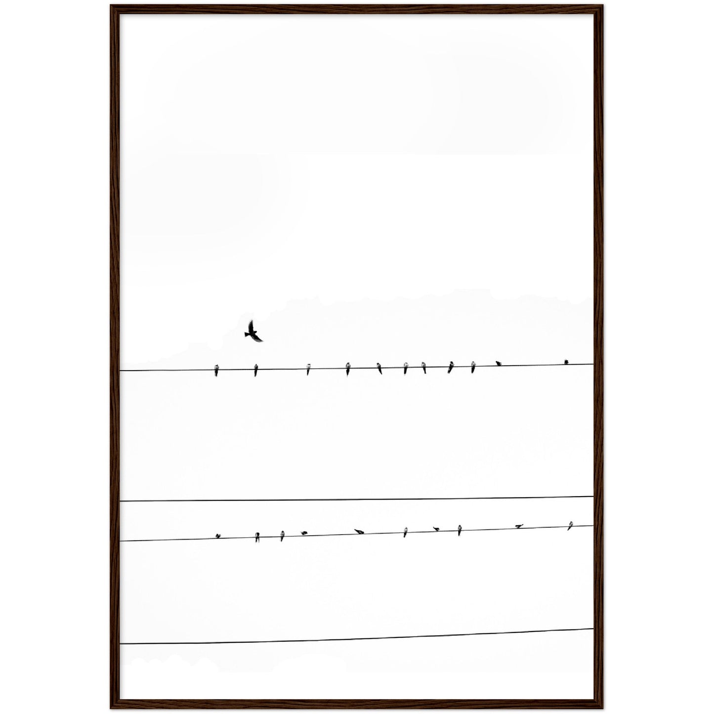 Cable Wire Birds Print