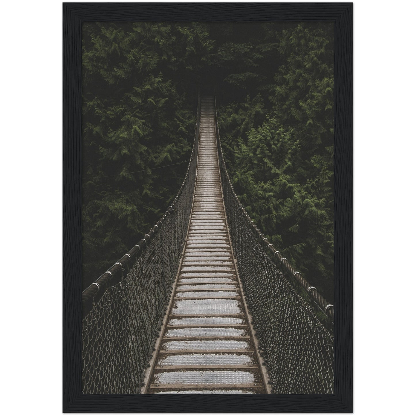 Hanging Bridge Print