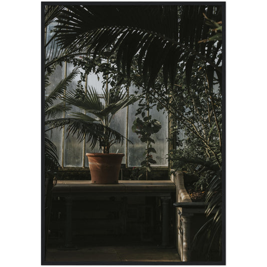 Greenhouse Print