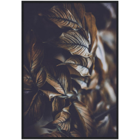 Brown Leaves Print