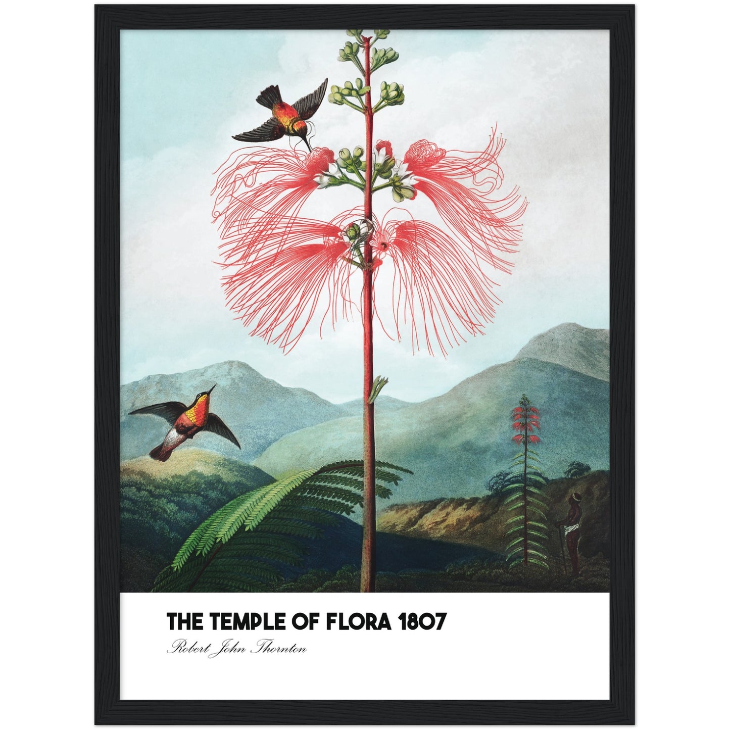 The Temple of Flora Print