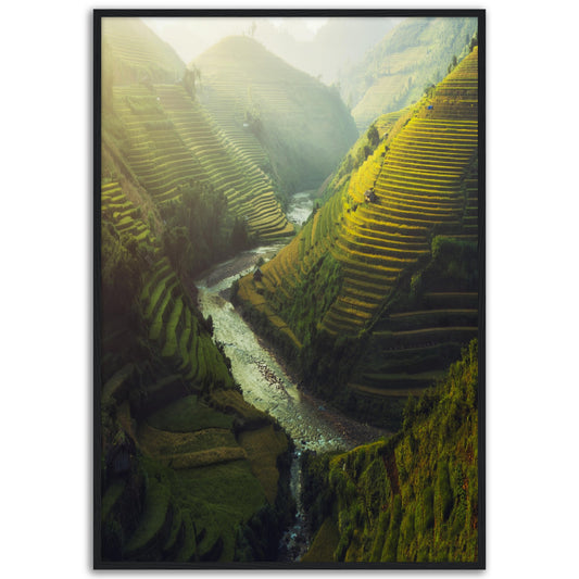 Rice Terraces Print