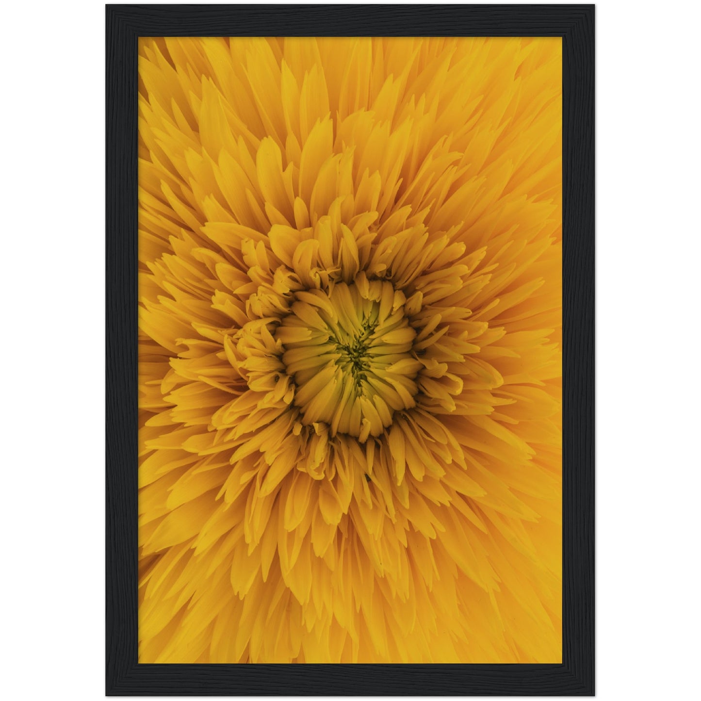 Yellow Flower Print