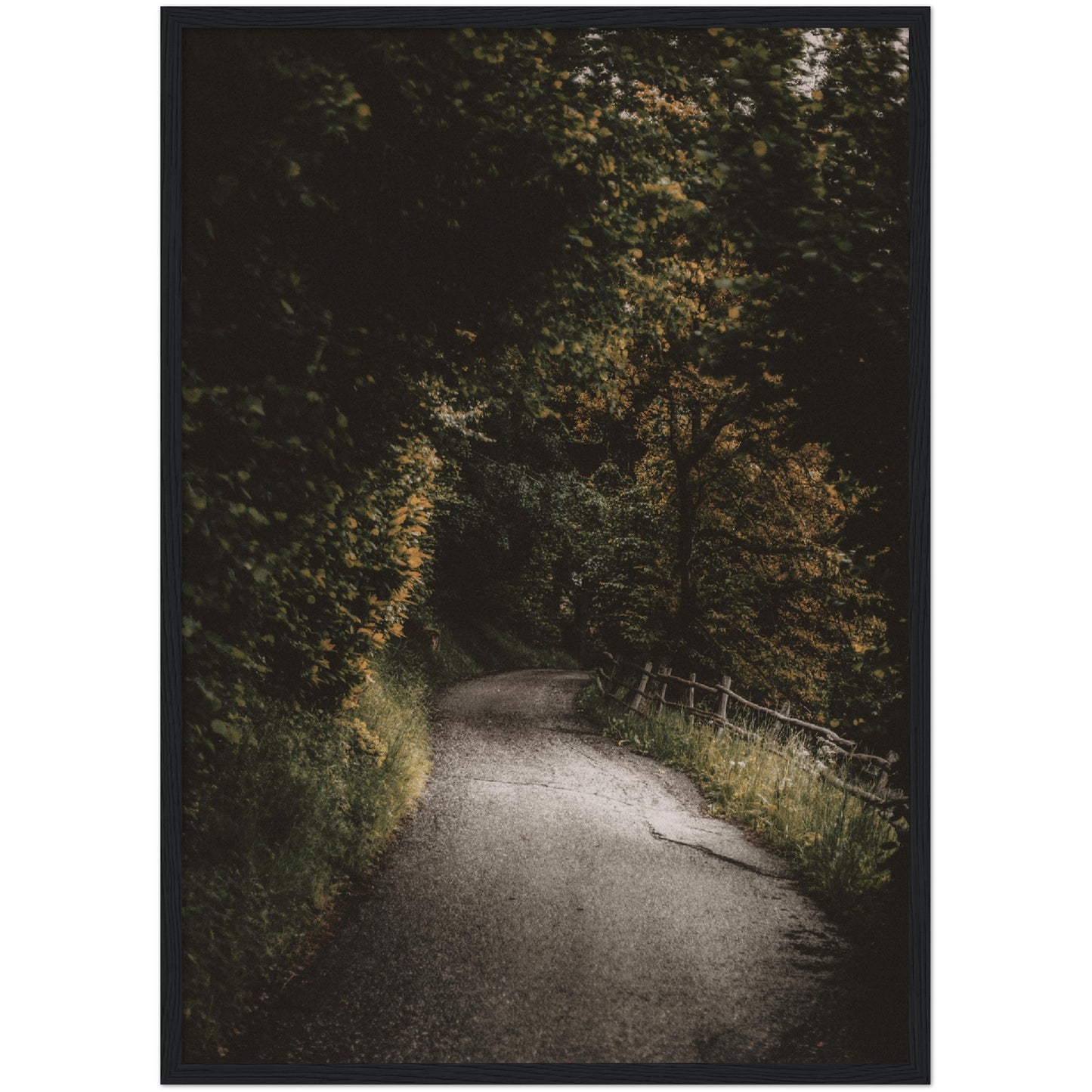 Country Road Print