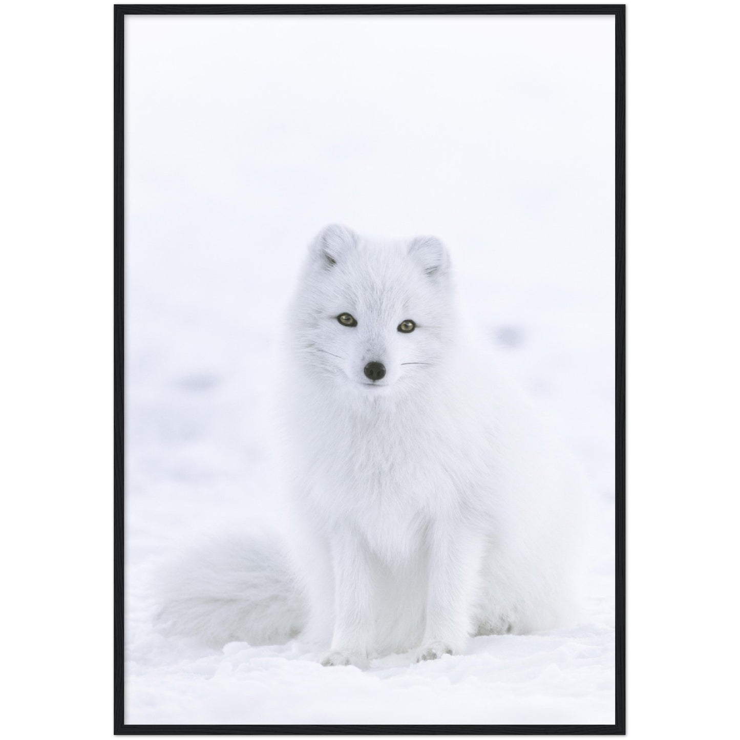 White Fox Print