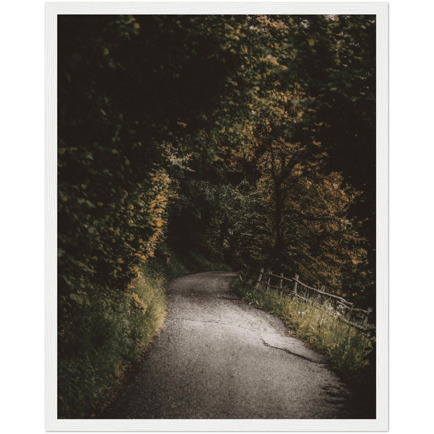 Country Road Print