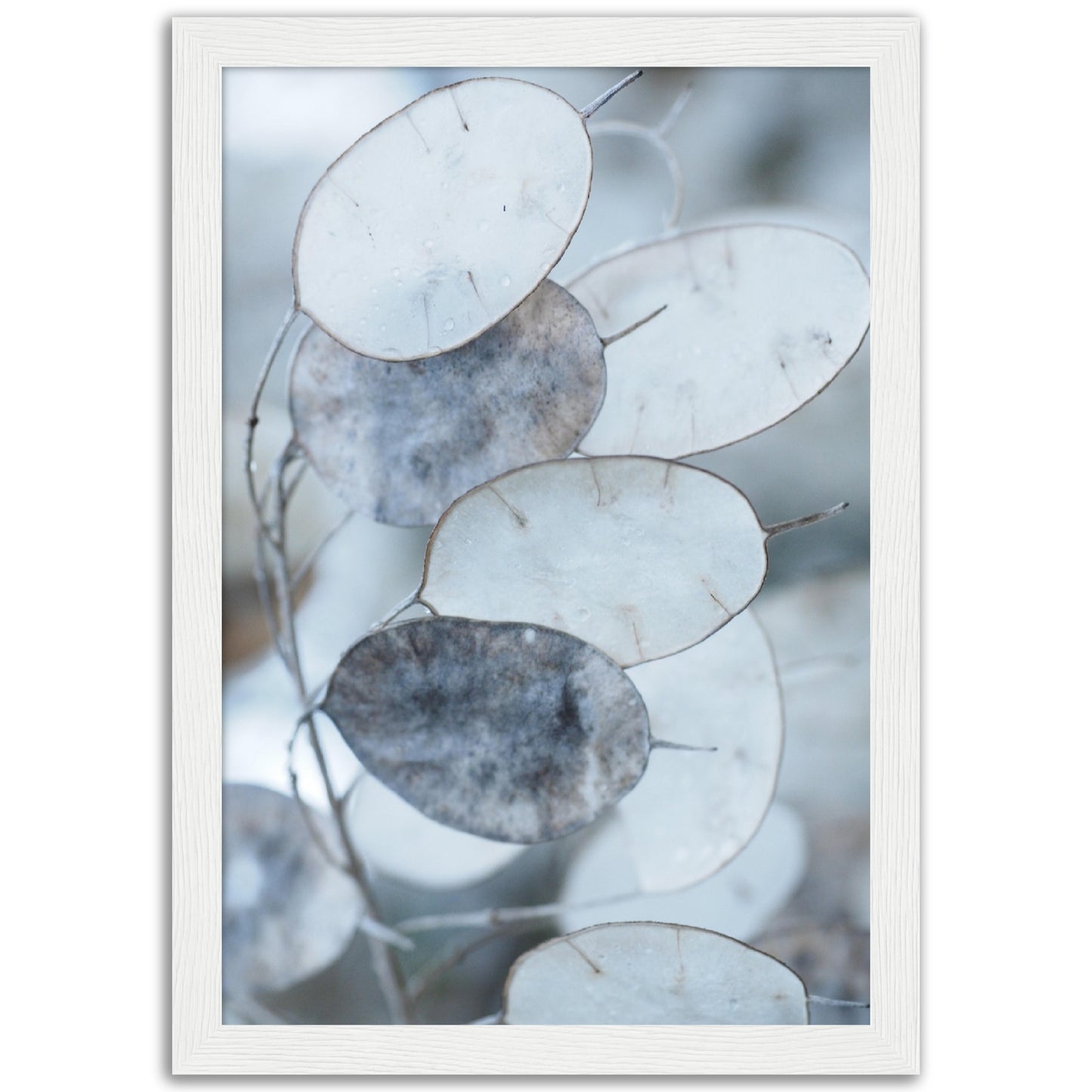 Grey Leaves Print