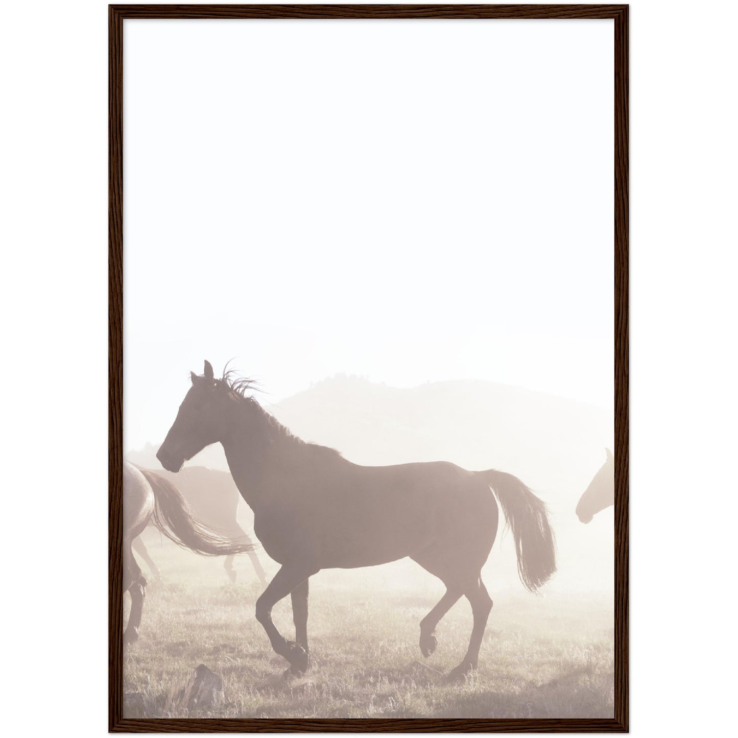 Horses Print