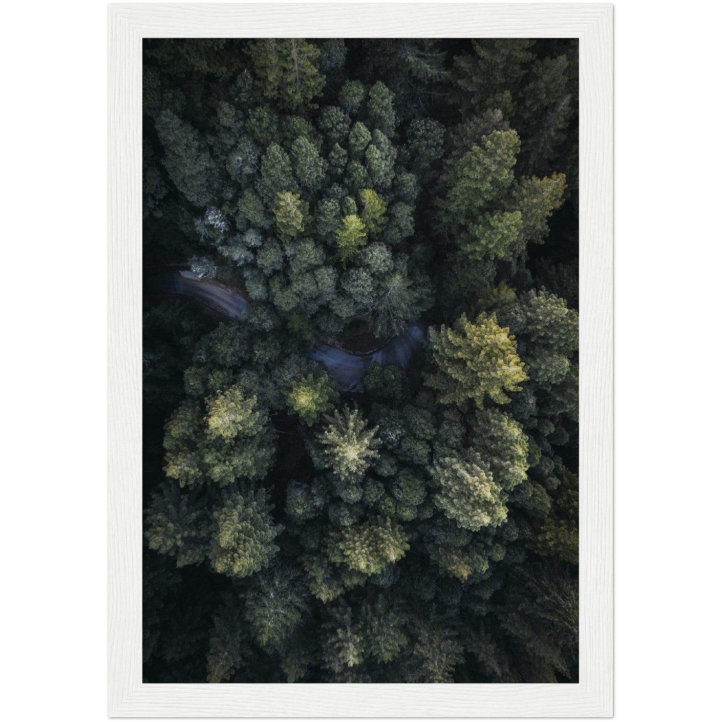 Treetops Print
