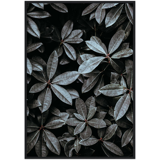 Dark Leaves Print