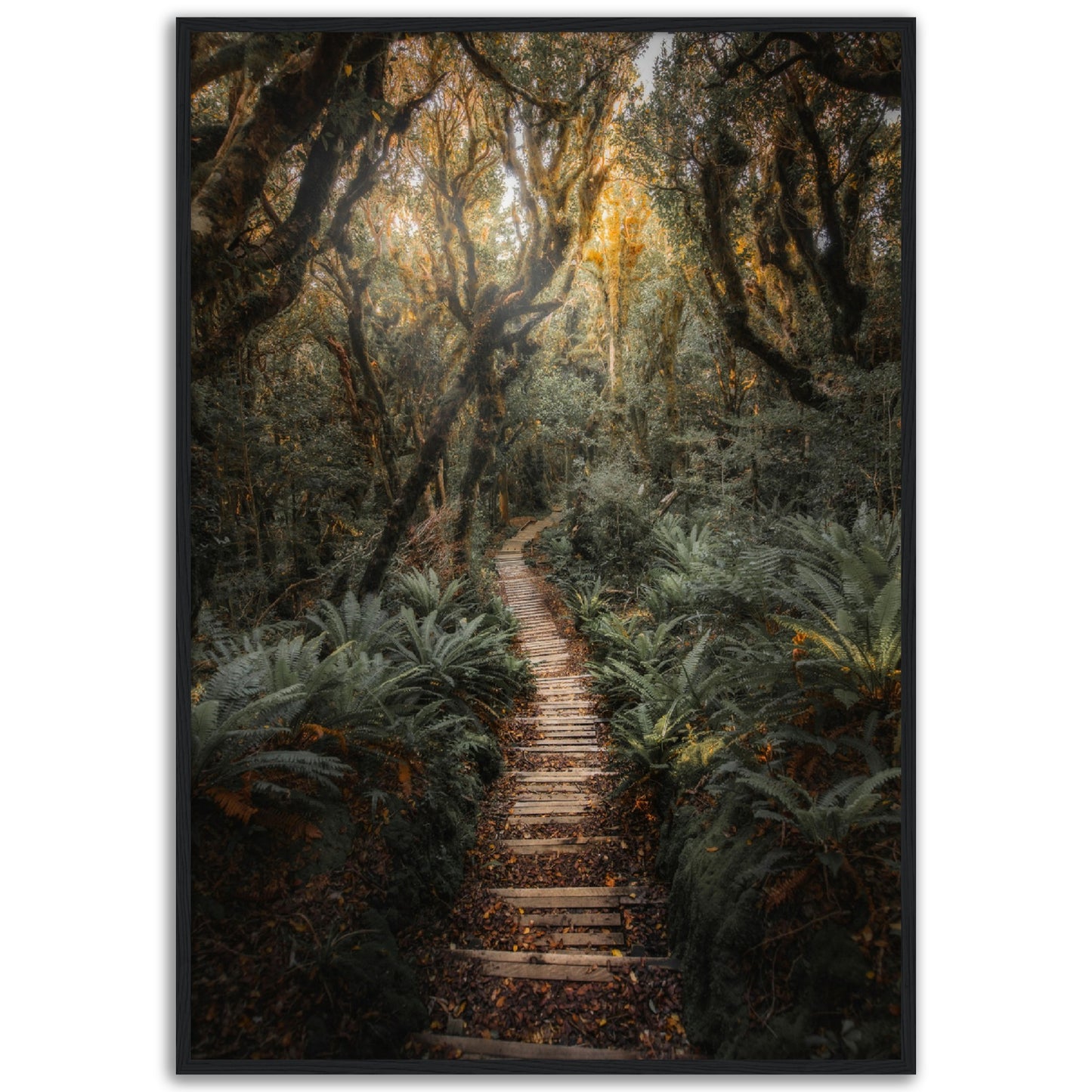 Jungle Path Print