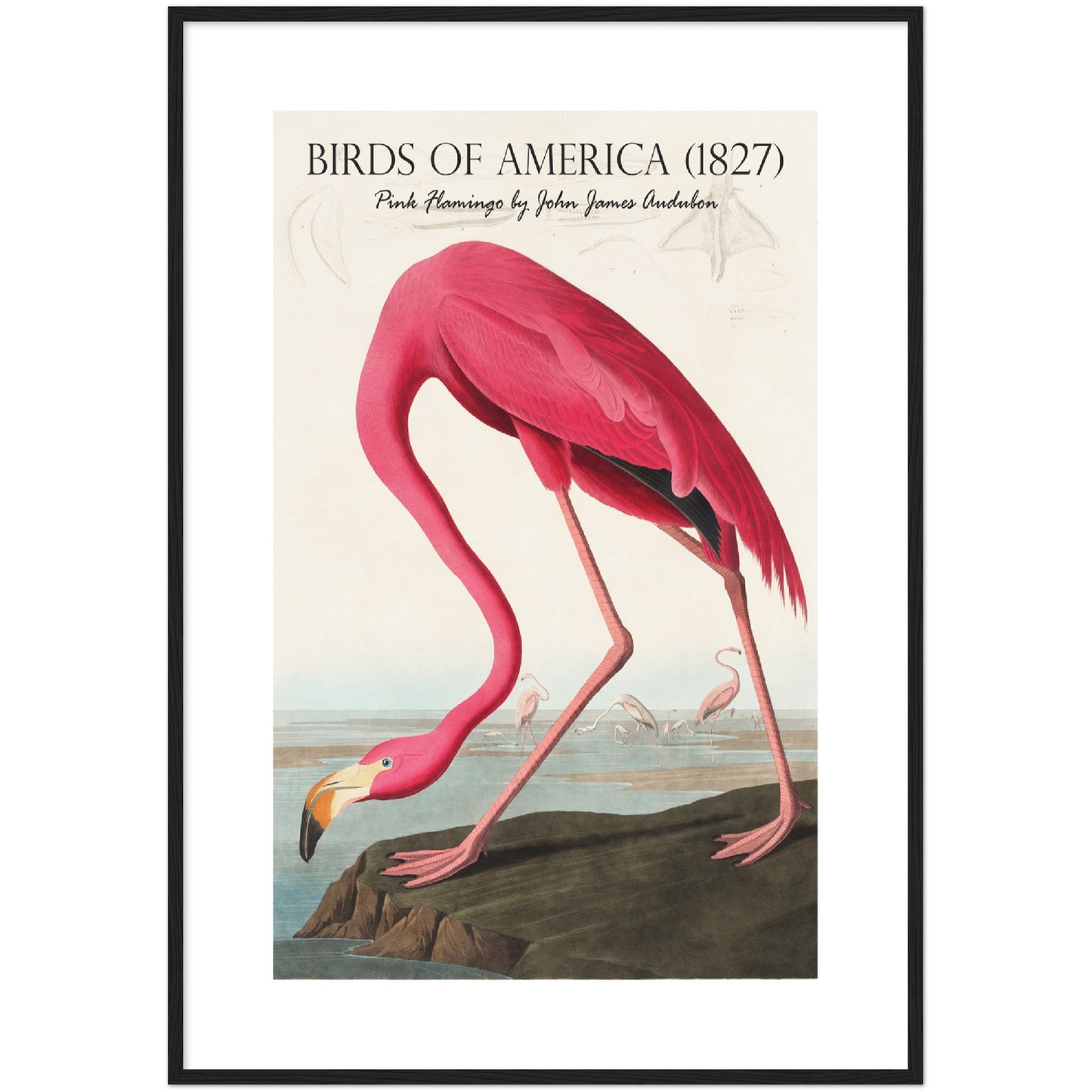Pink Flamingo Print