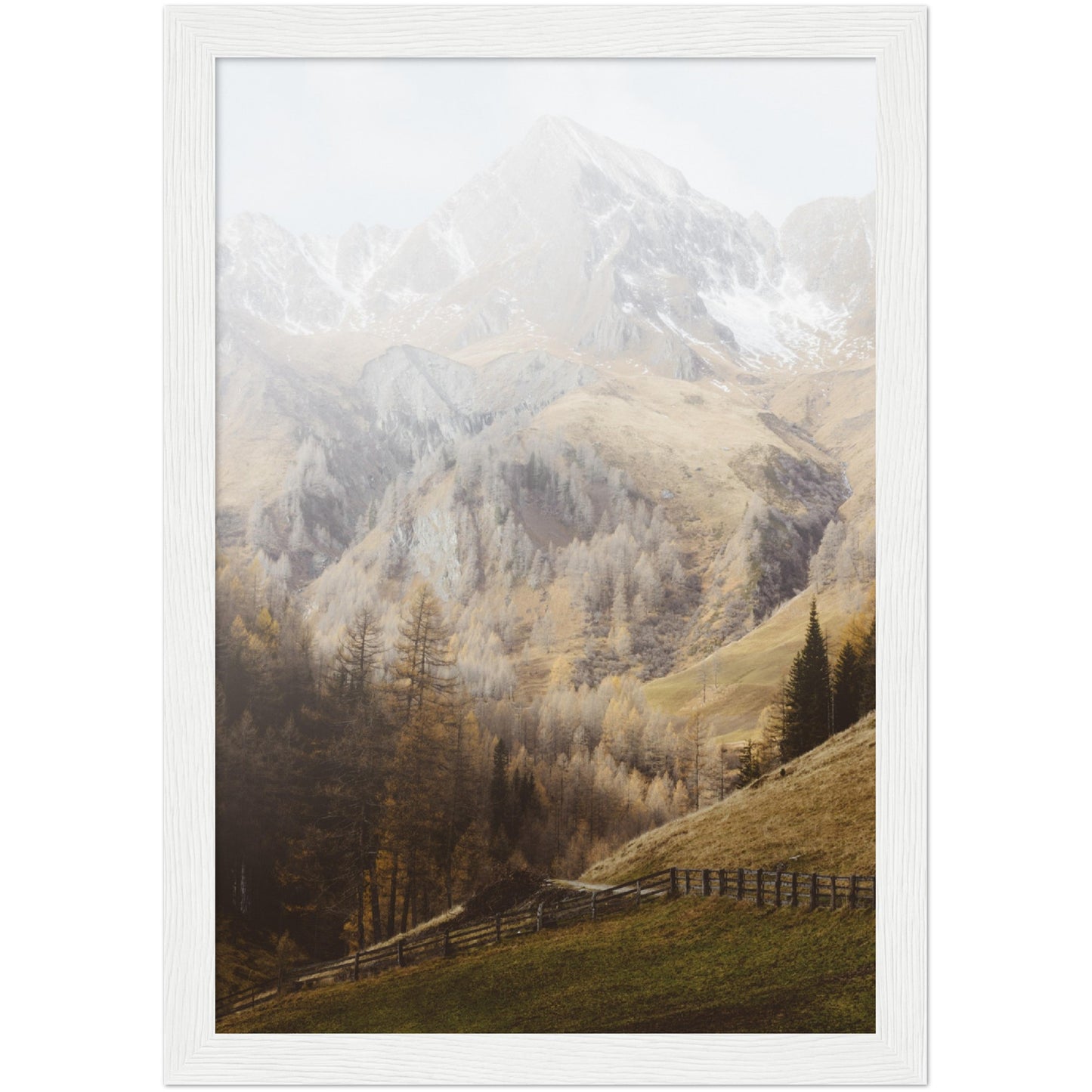 Alps Print