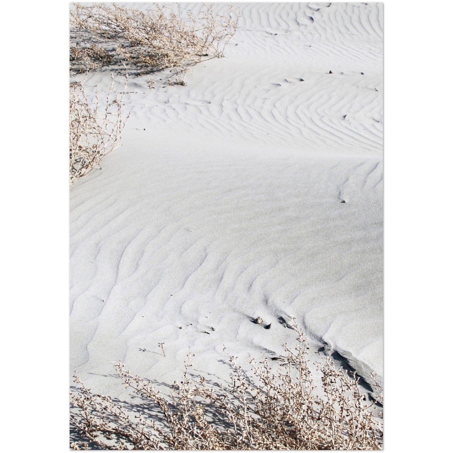 White Sand Print
