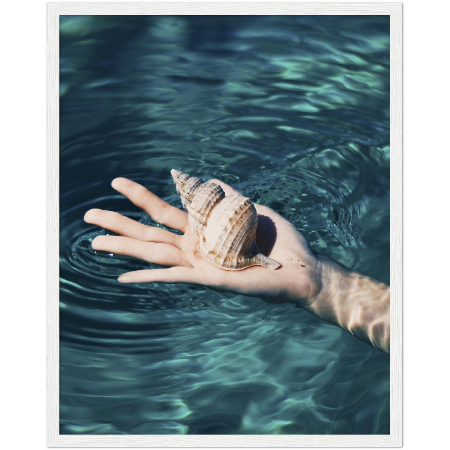 Shell in Hand Print