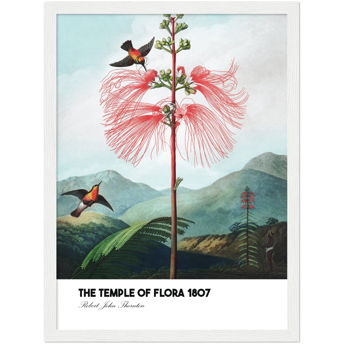 The Temple of Flora Print