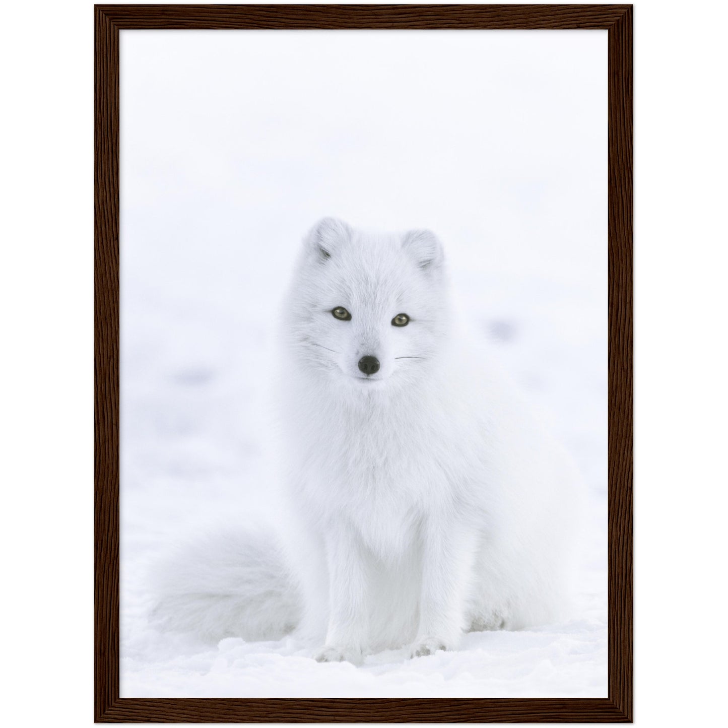 White Fox Print