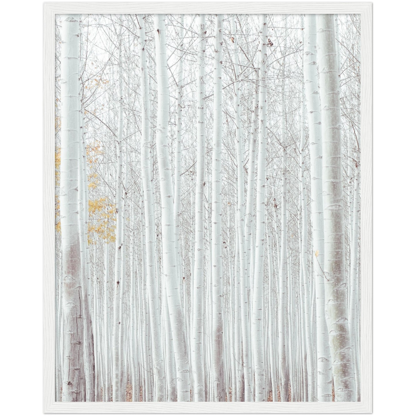 White Trees Print