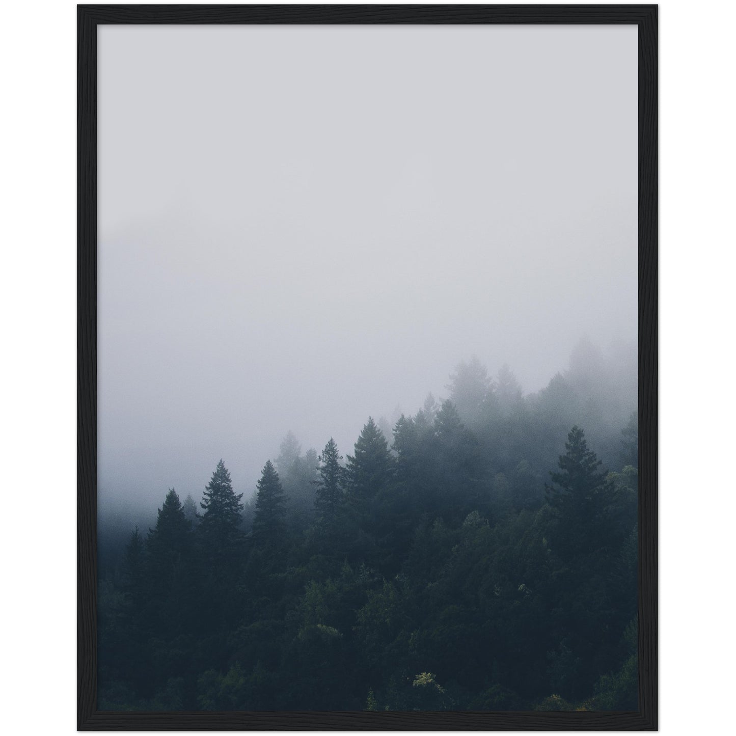 Forest Clouds Print