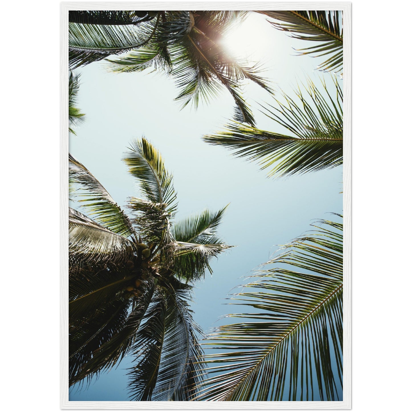 Palm Trees Print