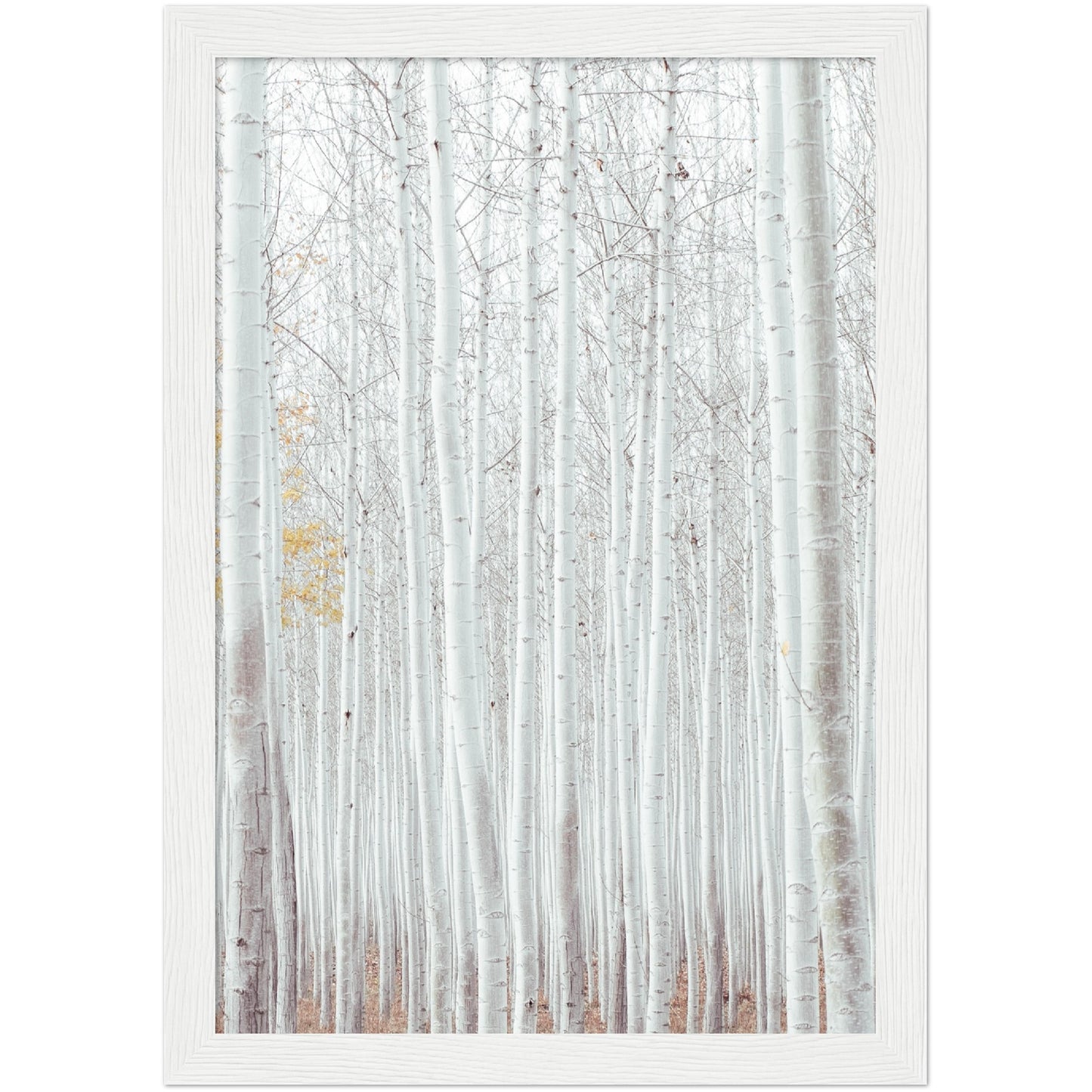 White Trees Print