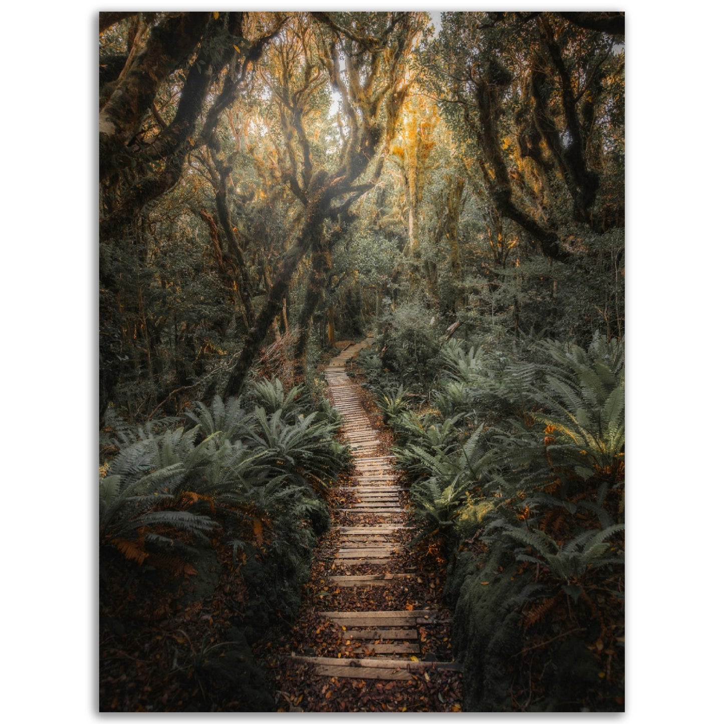 Jungle Path Print