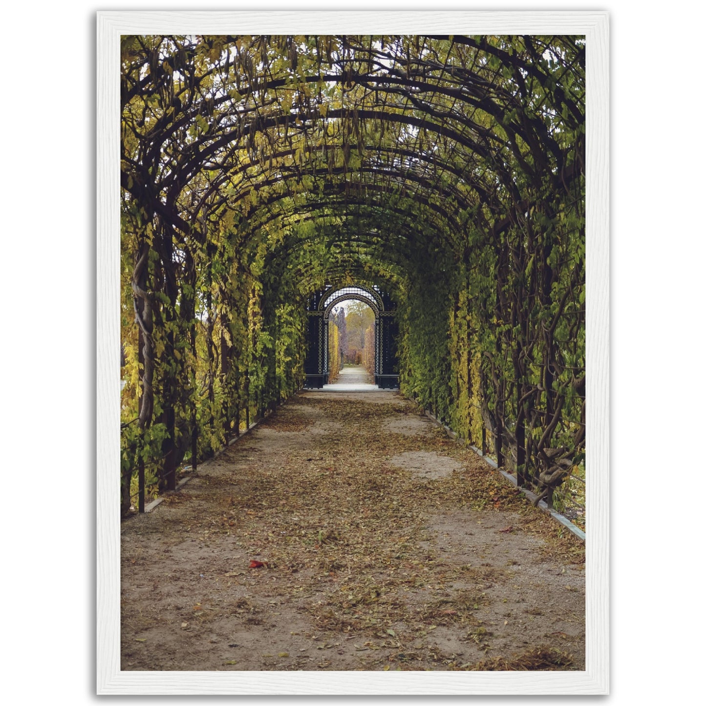 Green Tunnel Print