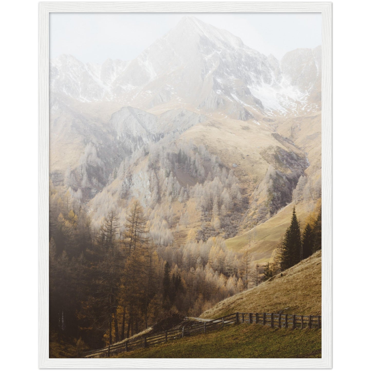 Alps Print