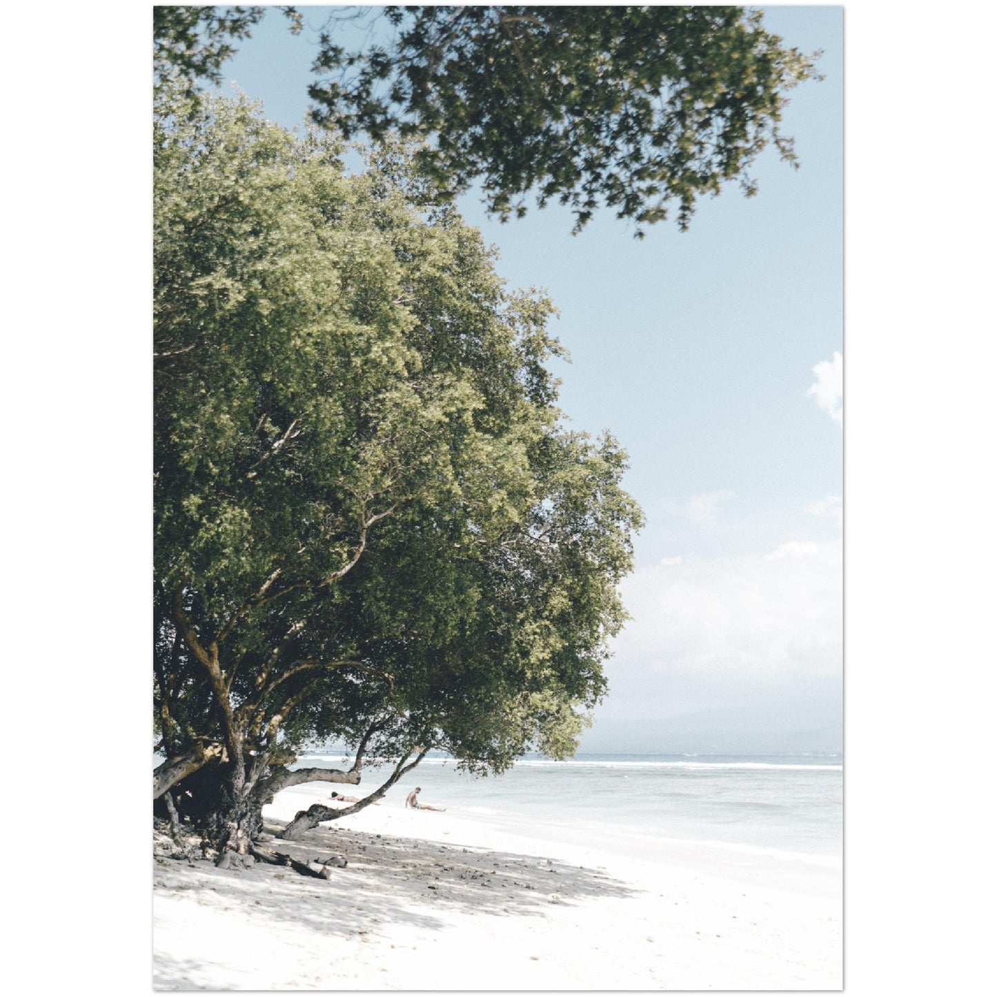 Beach Tree Print