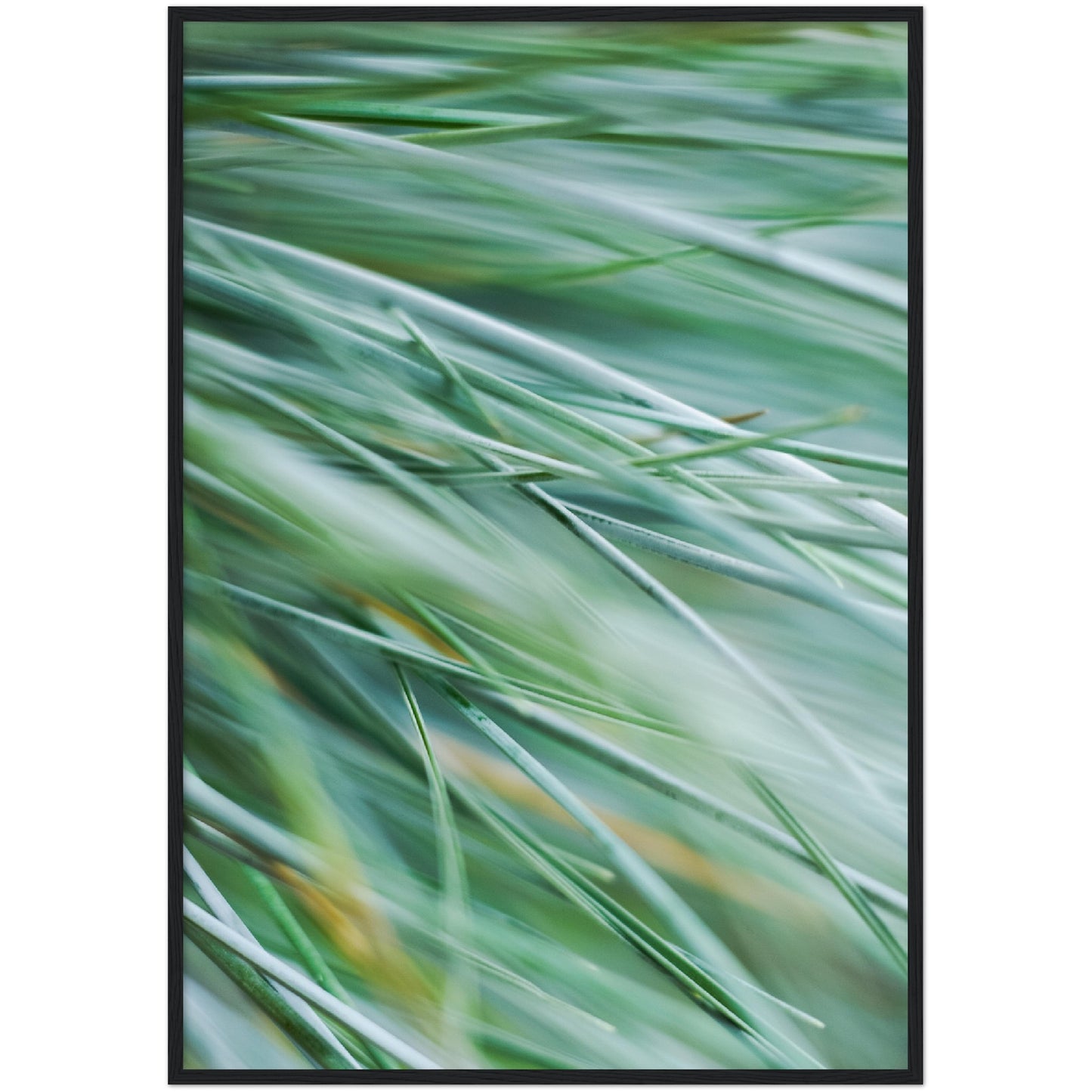 Green Grass Print