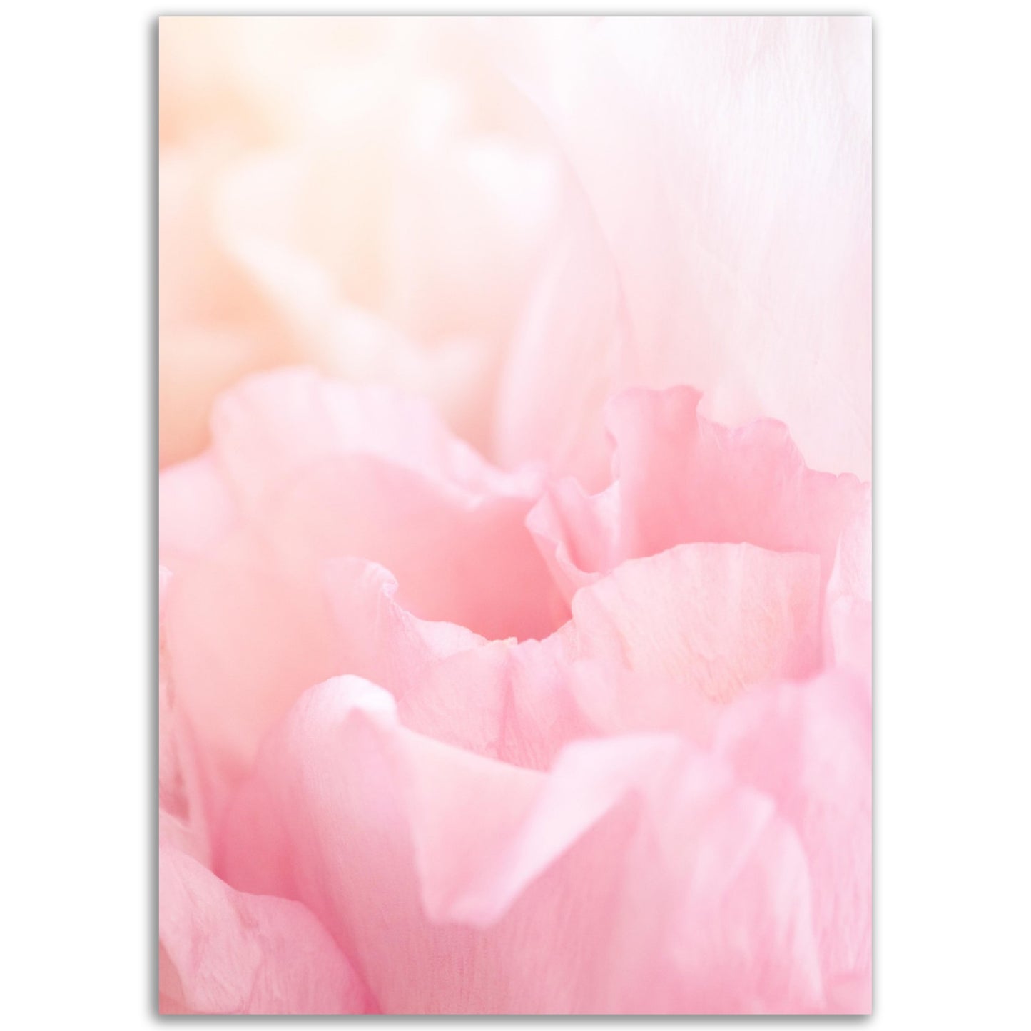 Pastel Pink Flower Print